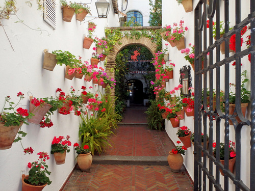 Patio Gardin.